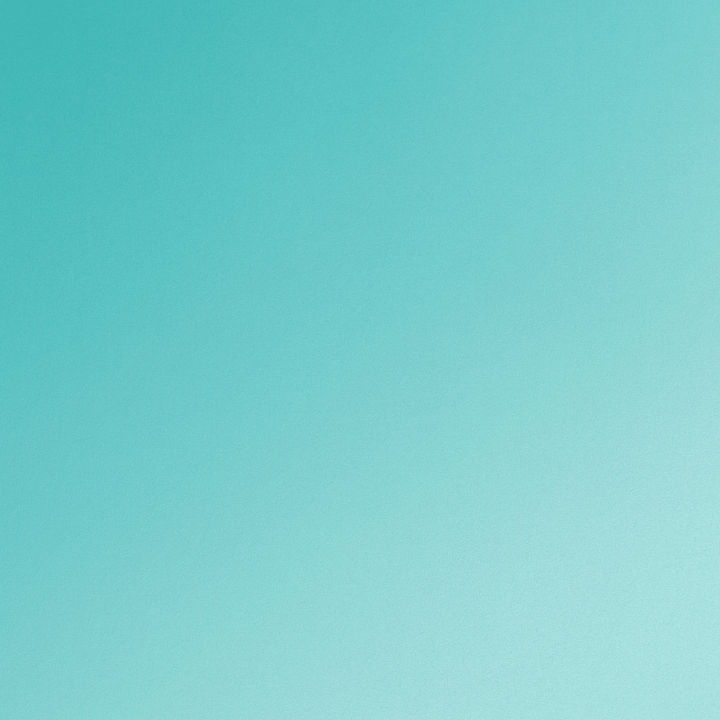 Pioneer Program Background